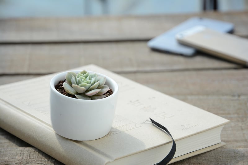 Stacked Succulent Pots